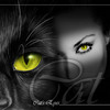 Кошаброчка