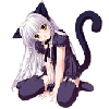 Кошаброчка