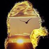 my_dream2005