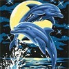 DeLFin@:)