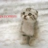 отшельник_0