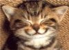 leesun