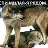 Анна@72