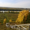 Anna_Adolf