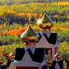 Дмитрий.Б.