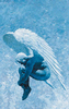 Luciferi