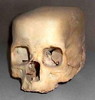 Igor 38