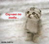 Natali_t