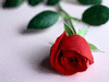Lila_2004