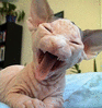 smiile