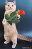 Andrey200475_and