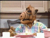 Alf