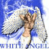 WHITE ANGEL2005