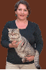 KiriatCat