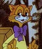 Kot_Leopold