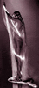 - = Firebird = -