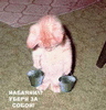 Marischka_Schatz