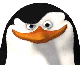 webspinner