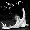 Angel***