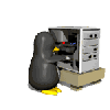 WVR