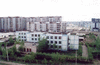 IrinaEkibas