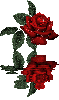 0311