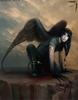 AngelLily