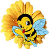 bienen