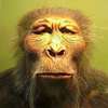 dubalom