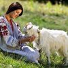 Аналитик