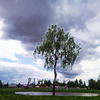 sergey-js