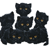 MiezKatz