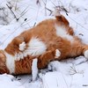 Олеся6666